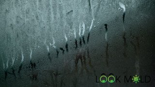 Mold on windows