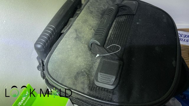 Mold-on-A-Bag