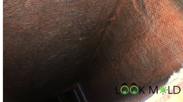 Mold-in-ductwork