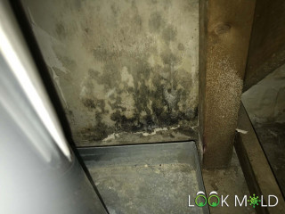 Black-Mold-Behind-Air-Conditioners