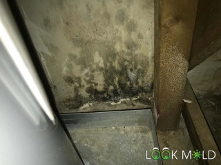 Black-Mold-Behind-Air-Conditioners