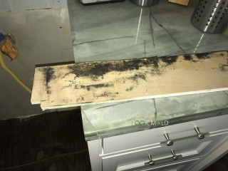 Black-Mold-Behind-Baseboards