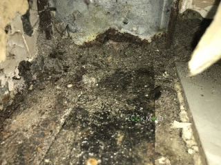 Black-Mold-Inside-Walls