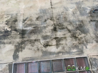 Black-Mold-On-Exterior-Walls
