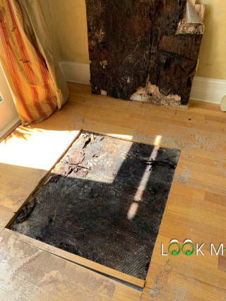 Black-Mold-Under-Flooring
