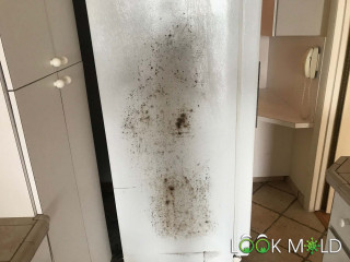 Black-Mold-on-Fridge