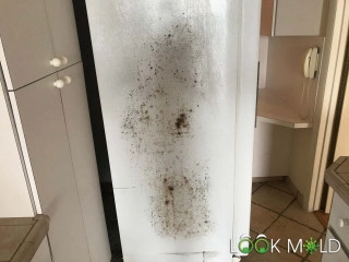 Black-Mold-on-Fridge
