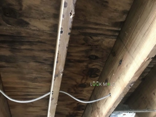 Black-mold-on-roof-sheating