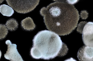 Depositphotos_19704939_s-2015