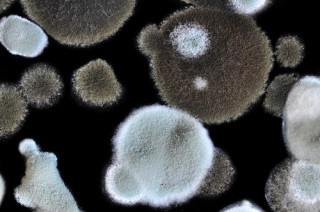 Depositphotos_19704939_s-2015