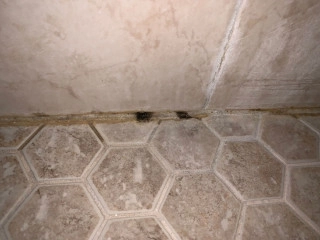 black-mold-on-tile