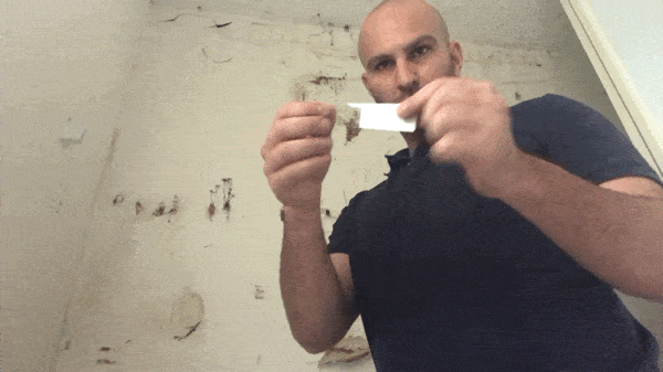 My Mold Detective Tape